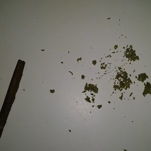 Meet your Posher, Paul